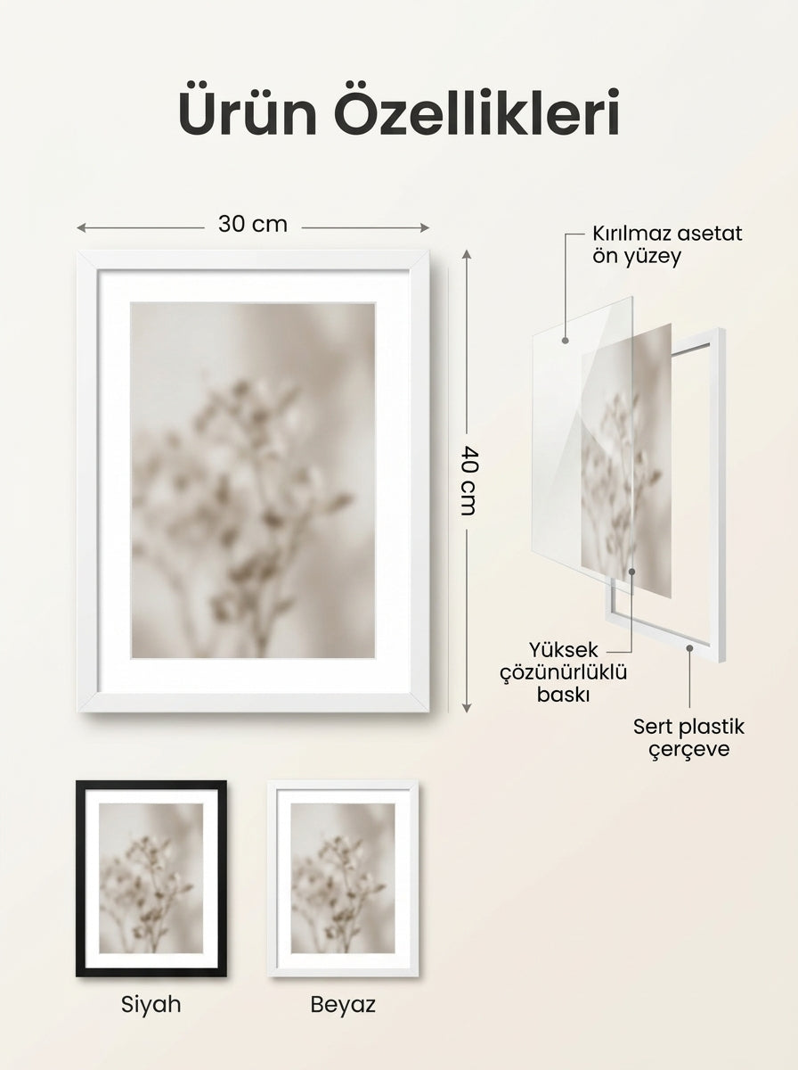 Botanik Çiçek Tablosu – Çiçek Koleksiyonu No. 02 | Çerçeveli Tablo 30x40
